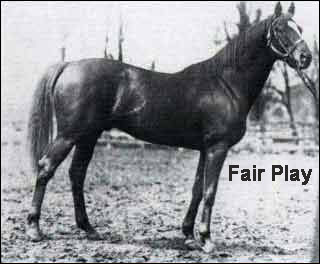 Fair Play Man o' War's sire