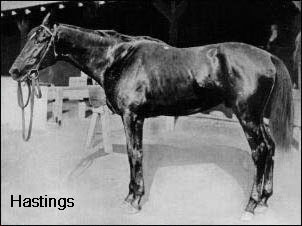 Hastings Fair Play's sire, Hastings